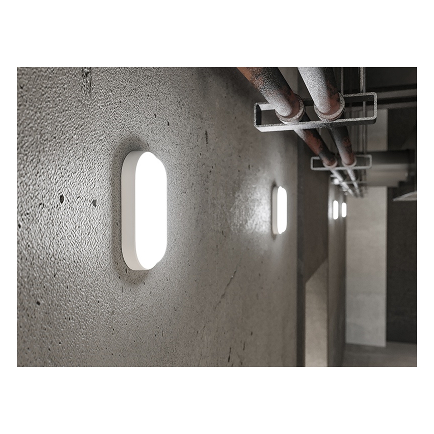 Applique murale d'extérieur LED/6W/230V IP54 blanche