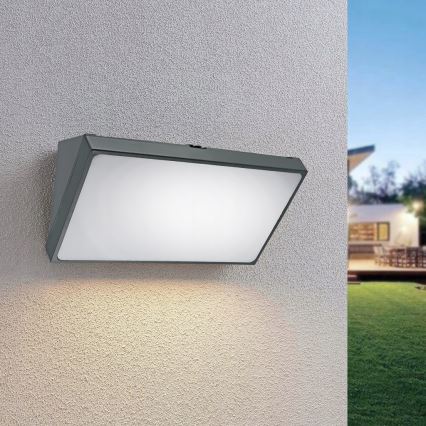 LED Applique murale d'extérieur avec détecteur de mouvement LED/20W/230V IP65 gris