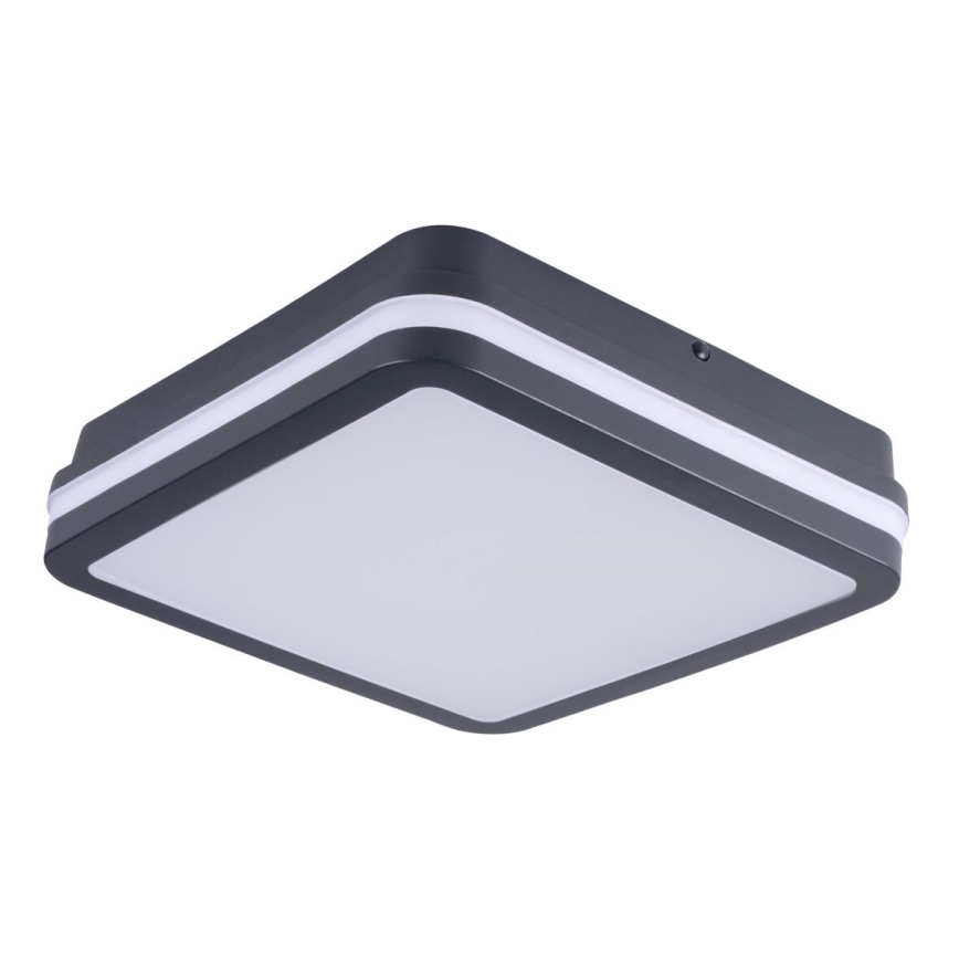 Applique murale d'extérieur LED BENO LED/18W/230V 4000K anthracite  IP54