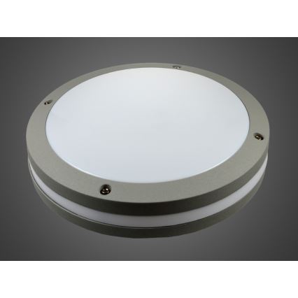 Applique murale d'extérieur LED JONAS LED/18W/230V IP54 grise