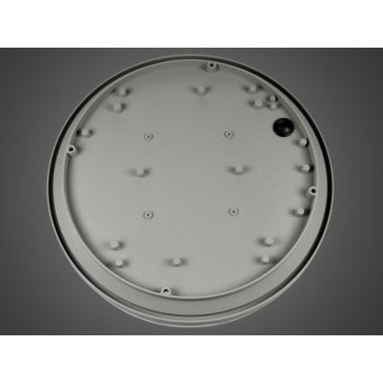 Applique murale d'extérieur LED JONAS LED/18W/230V IP54 grise