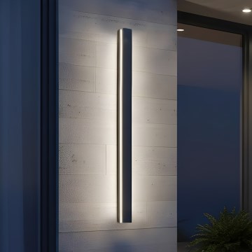 Applique murale d'extérieur MIRANA LED/25W/230V 4000K IP44 120 cm noire