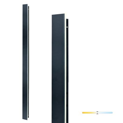 Applique murale d'extérieur MIRANA LED/25W/230V 4000K IP44 120 cm noire