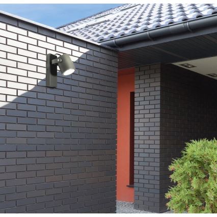 Applique murale extérieur PINO 1xGU10/10W/230V IP44
