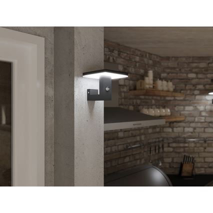 Applique murale extérieure avec détecteur BARI LED/10W/230V 4000K IP54 anthracite