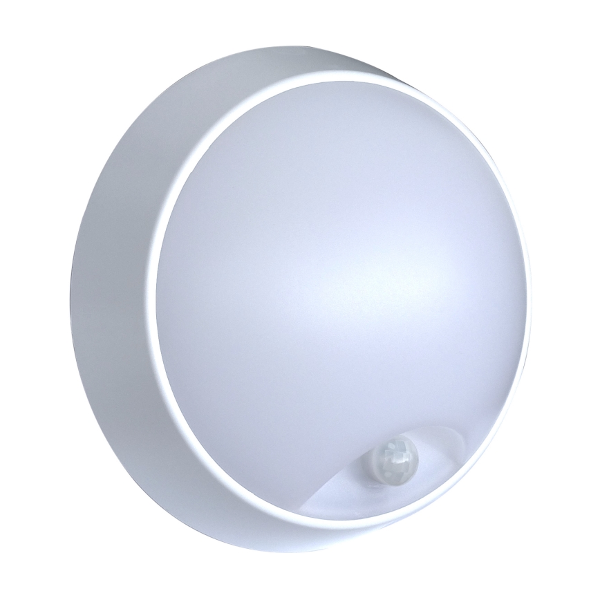 Applique murale extérieure avec détecteur LED/15W/230V 4000K IP65