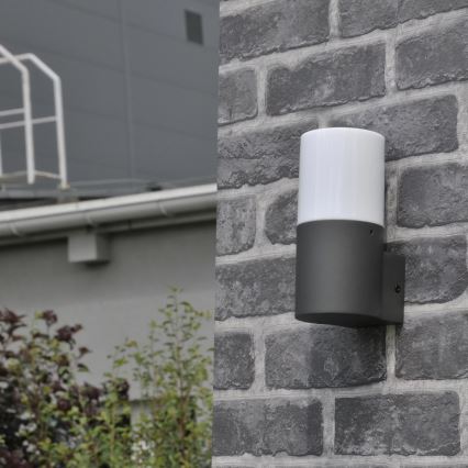 Applique murale extérieure DALLAS 1xE27/12W/230V IP44 anthracite