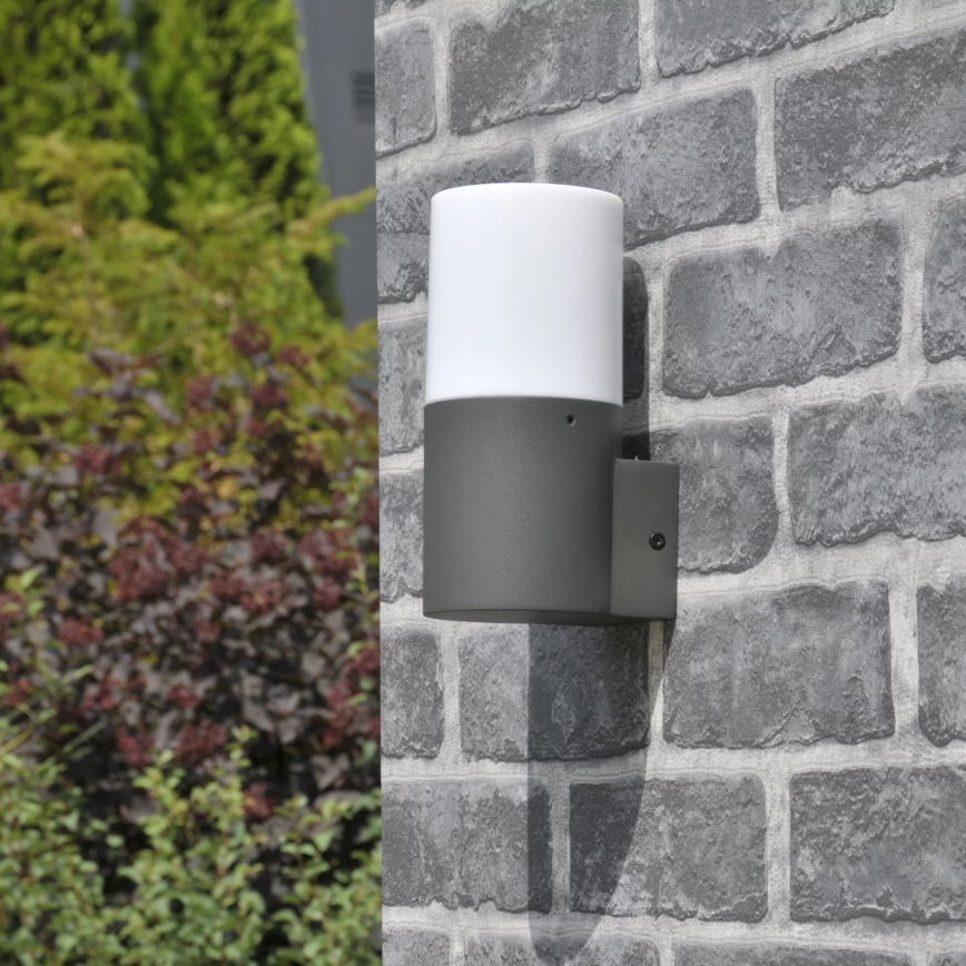 Applique murale extérieure DALLAS 1xE27/12W/230V IP44 anthracite