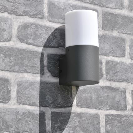Applique murale extérieure DALLAS 1xE27/12W/230V IP44 anthracite