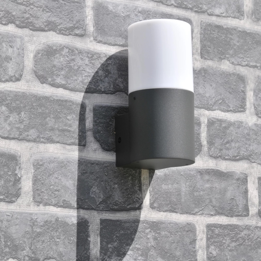 Applique murale extérieure DALLAS 1xE27/12W/230V IP44 anthracite