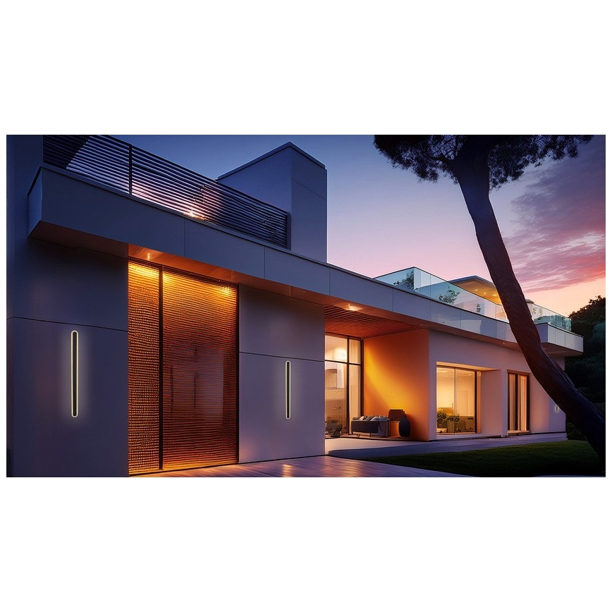 Applique murale extérieure STICK LED/12W/230V IP65 3000K 30 cm