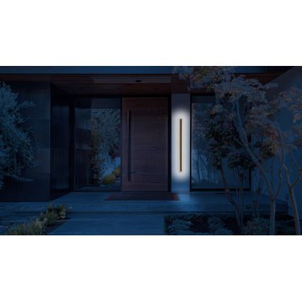 Applique murale extérieure STICK LED/36W/230V IP65 3000K 120 cm
