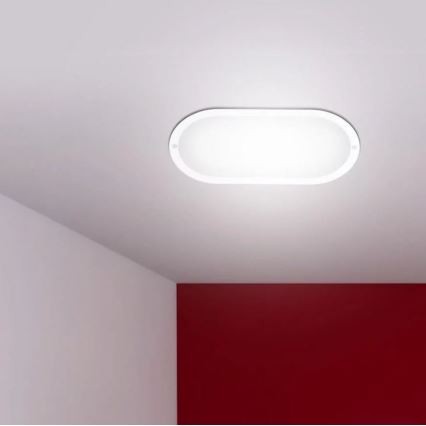 Applique murale LED d'extérieur LED/12W/230V IP54 4000K