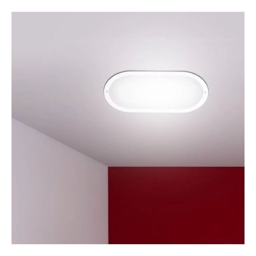Applique murale LED d'extérieur LED/12W/230V IP54 4000K