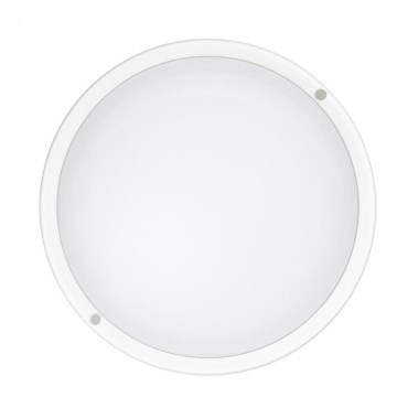 Applique murale LED d'extérieur LED/12W/230V IP54 4000K
