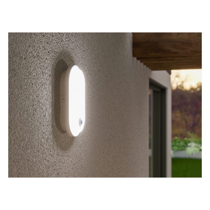 Applique murale d'extérieur LED avec détecteur de mouvement et capteur crépusculaire OVAL LED/10W/230V IP65 blanc