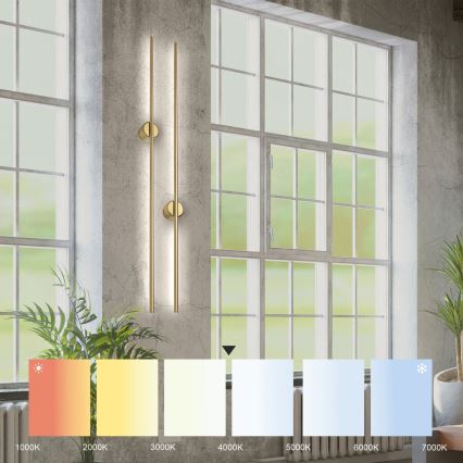 Applique murale LED LANA LED/12W/230V 4000K dorée mate