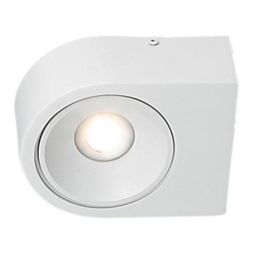 Applique murale LED LUCE LED/10W/230V