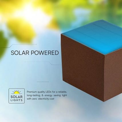 Applique murale solaire LED avec capteur LED/9W/3,7V 3000/4000/5000K IP65 2600 mAh marron