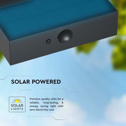 Applique murale solaire avec détecteur LED/3W/3,7V 3000K/4000K IP65 1200 mAh noir