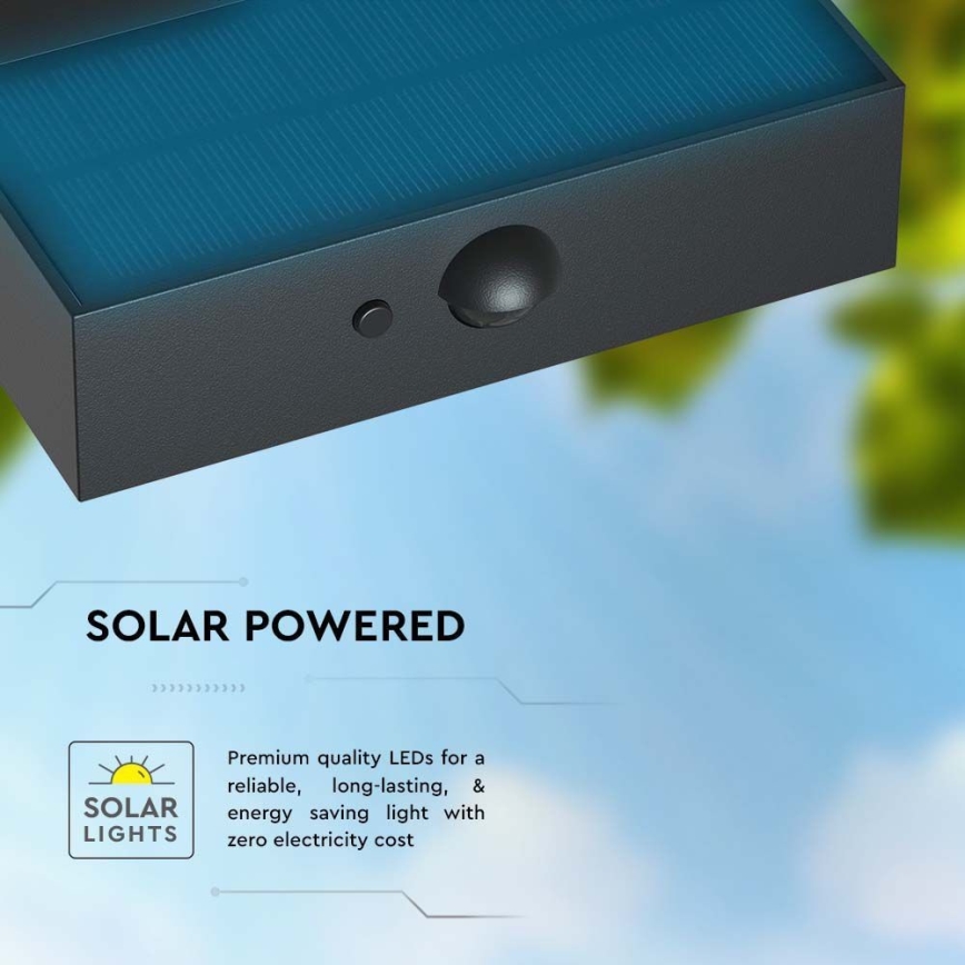Applique murale solaire avec détecteur LED/3W/3,7V 3000K/4000K IP65 1200 mAh noir