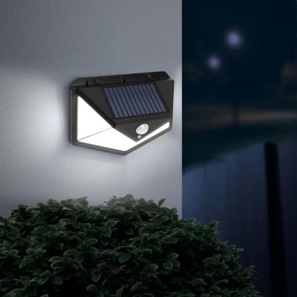 Applique murale solaire avec détecteur LED/5W/5,5V IP65