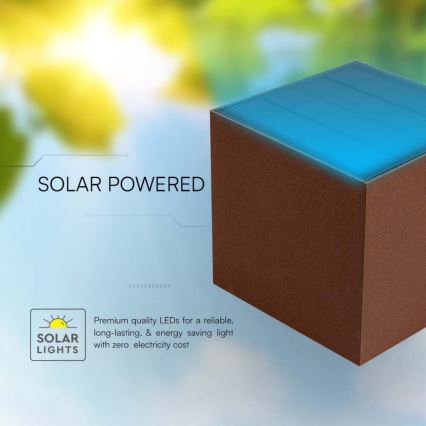 Applique murale solaire avec détecteur LED/9W/3,7V IP65 4000K marron