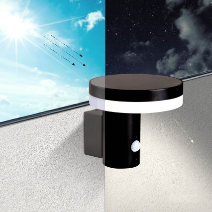 Applique murale solaire avec détecteur SOLARIS3 LED/5,5W/3,7V 4000K IP44 2600 mAh
