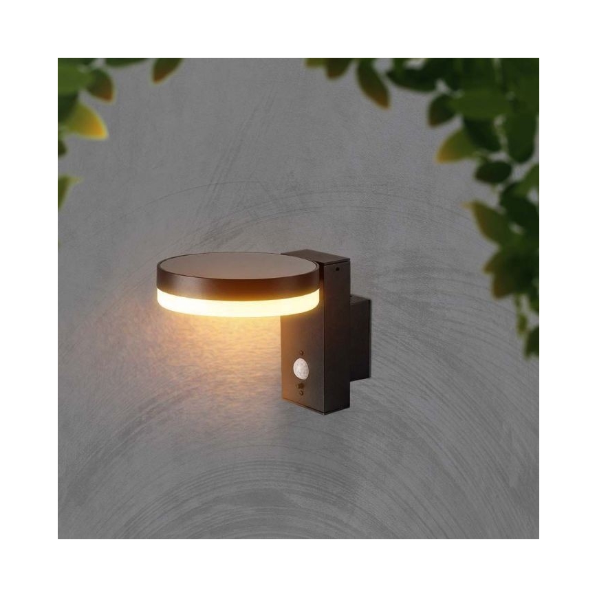 Applique murale solaire extérieure avec détecteur LED/5,5W/3,7V 3000K IP54