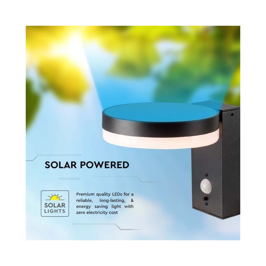 Applique murale solaire extérieure avec détecteur LED/5,5W/3,7V 3000K IP54