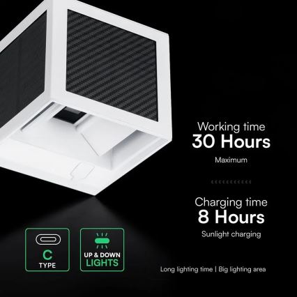 Applique murale solaire LED avec capteur LED/9W/3,7V 3000/4000/6000K IP65 2600 mAh blanc