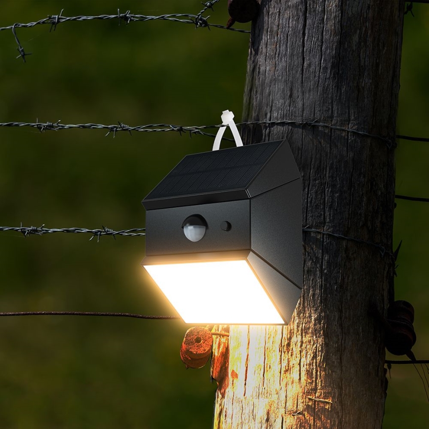 Applique solaire murale à LED avec détecteur LED/2,5W/3,7V 3000/4000/6000K IP65 1200 mAh noire