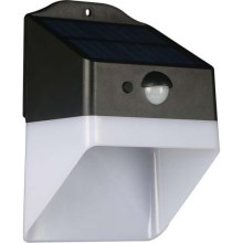 Applique murale solaire LED avec détecteur LED/2W/3,7V 4000K IP65