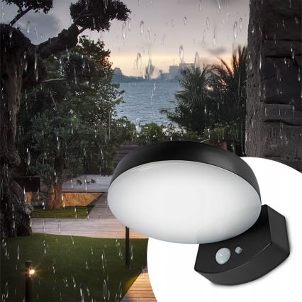 Applique murale solaire LED à intensité réglable avec capteur LED/3W/3,7V 1800 mAh IP54 noire