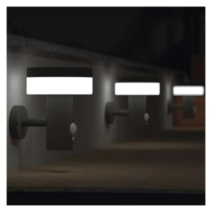 Applique murale solaire LED avec capteur LED/2W/3,7V 1200 mAh IP44