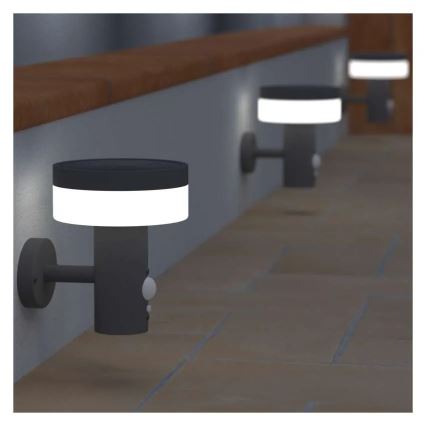 Applique murale solaire LED avec capteur LED/2W/3,7V 1200 mAh IP44