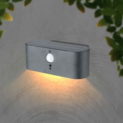 Applique murale solaire LED extérieure avec capteur LED/2,5W/3,7V 3000K IP54 2000 mAh
