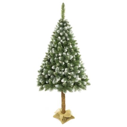 Arbre de noël sur un tronc 180 cm pin