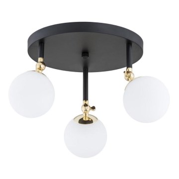 Argon 1436 - Plafonnier pour salle de bains LATINA, montage en surface 3xE14/40W/230V IP44