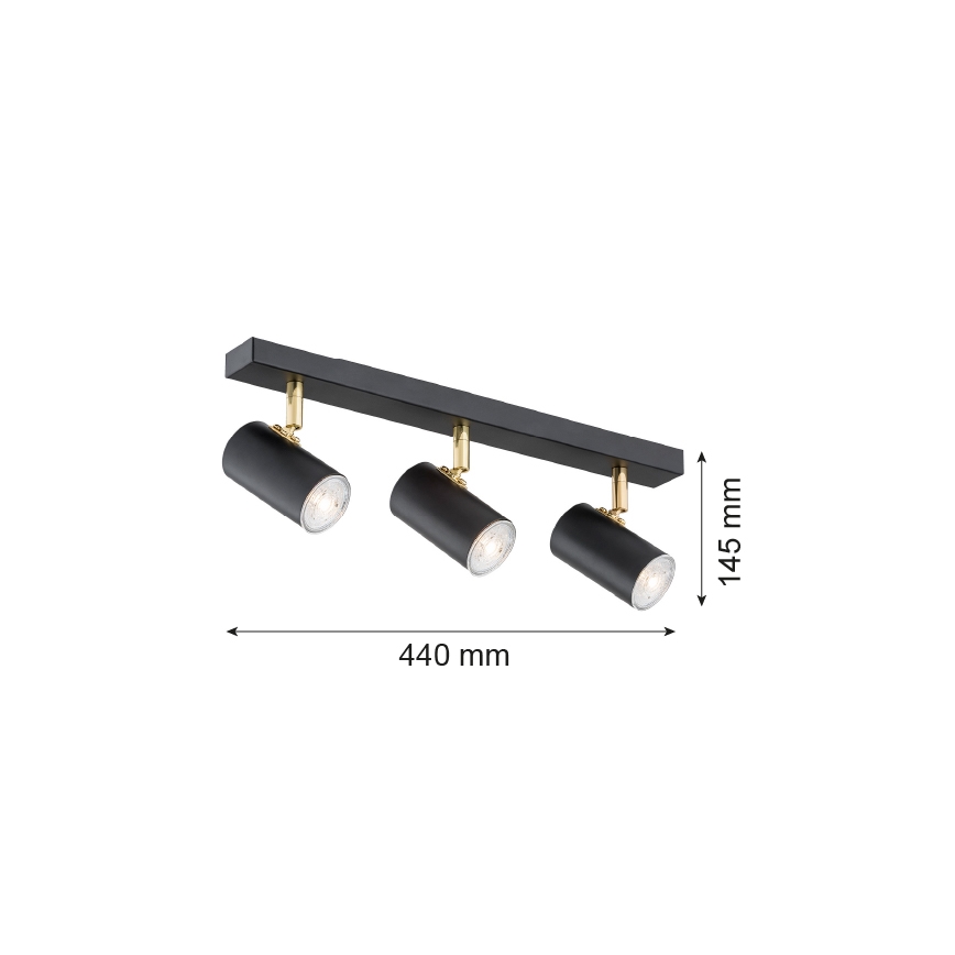 Argon 1476 - Spot LAGOS 3xGU10/5W/230V noir/laiton