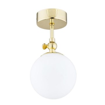 Argon 4001 - Plafonnier à montage en applique pour salle de bains LATINA 1xE14/40W/230V IP44