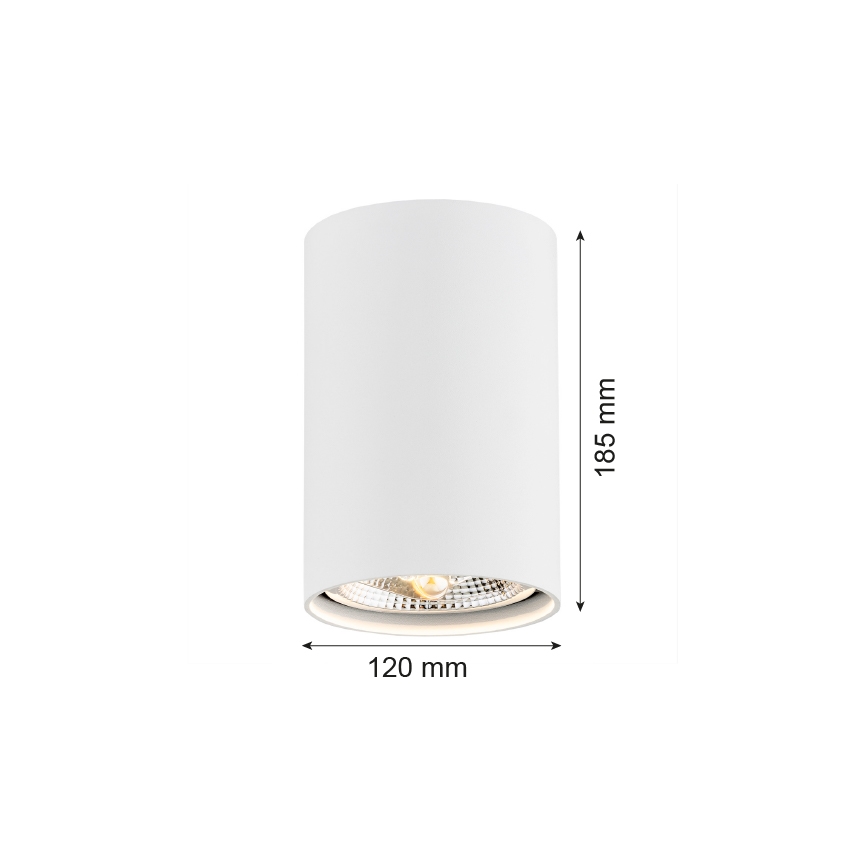 Argon 4910 - Spot TUBO AR111 1xGU10/15W/230V blanc