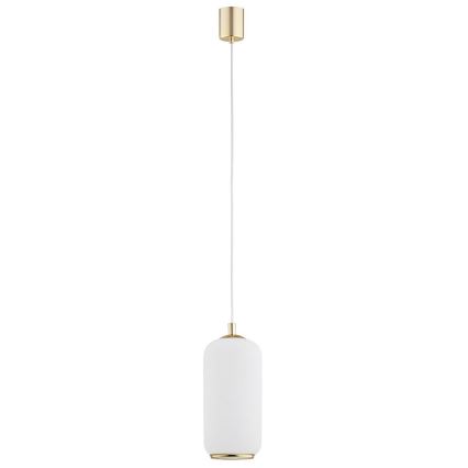 Argon 4993 - Suspension filaire PALLADO 1xE27/15W/230V doré/blanc