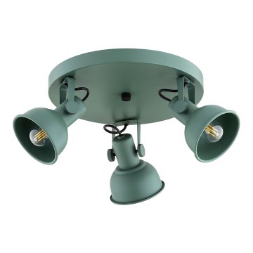 Argon 6265 - Spot LENORA 3xE14/7W/230V vert