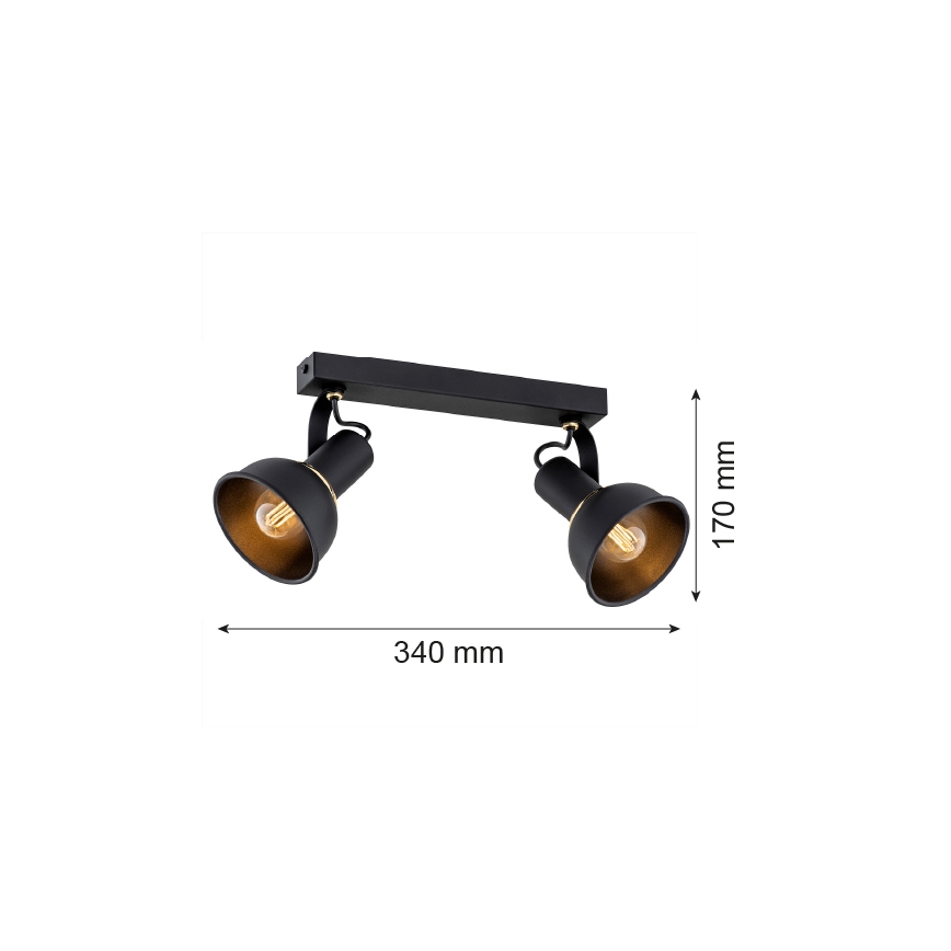 Argon 7037 - Spot TWIST 2xE14/7W/230V noir/doré