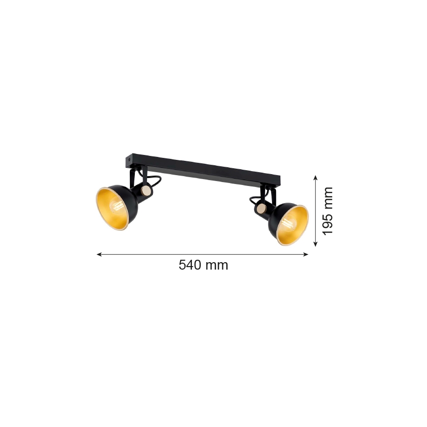 Argon 7142 - Spot LENORA 2xE14/7W/230V noir