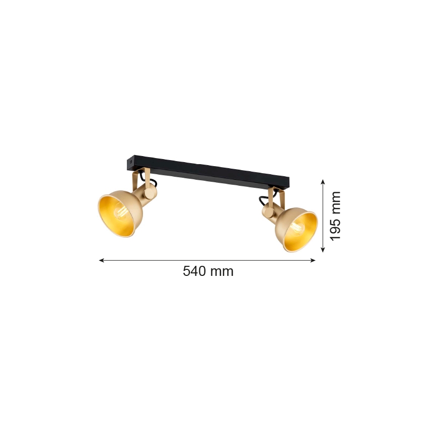 Argon 7144 - Spot LENORA 2xE14/7W/230V doré/noir