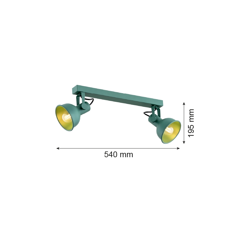 Argon 7174 - Spot LENORA 2xE14/7W/230V vert