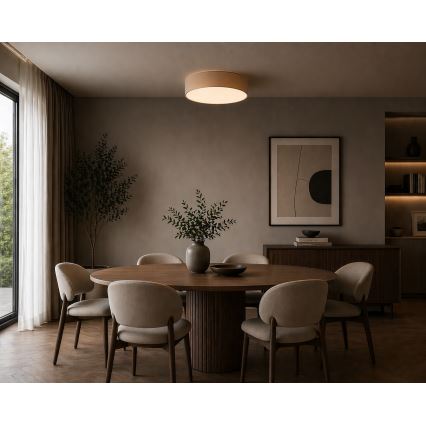 Argon 7296 - Plafonnier DARLINGOS 2xE27/15W/230V Ø 25 cm beige