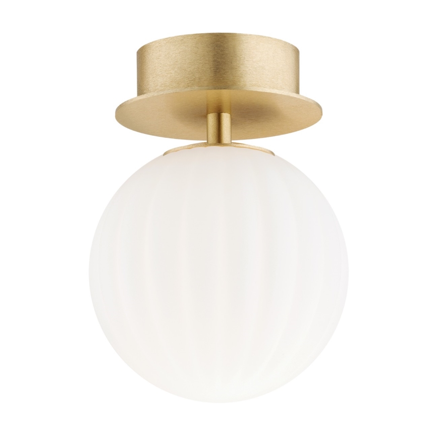Argon 8504 - Applique murale PALOMA 1xE14/7W/230V doré/blanc